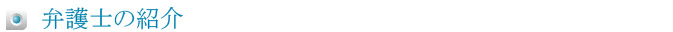 弁護士の紹介